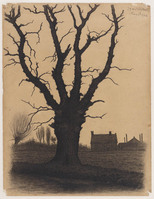 KT 1999 045
          <br/>
          Oude eik in Poelgeest
          <br/>
          <em>Wolkers, Jan (1925-2007)</em>